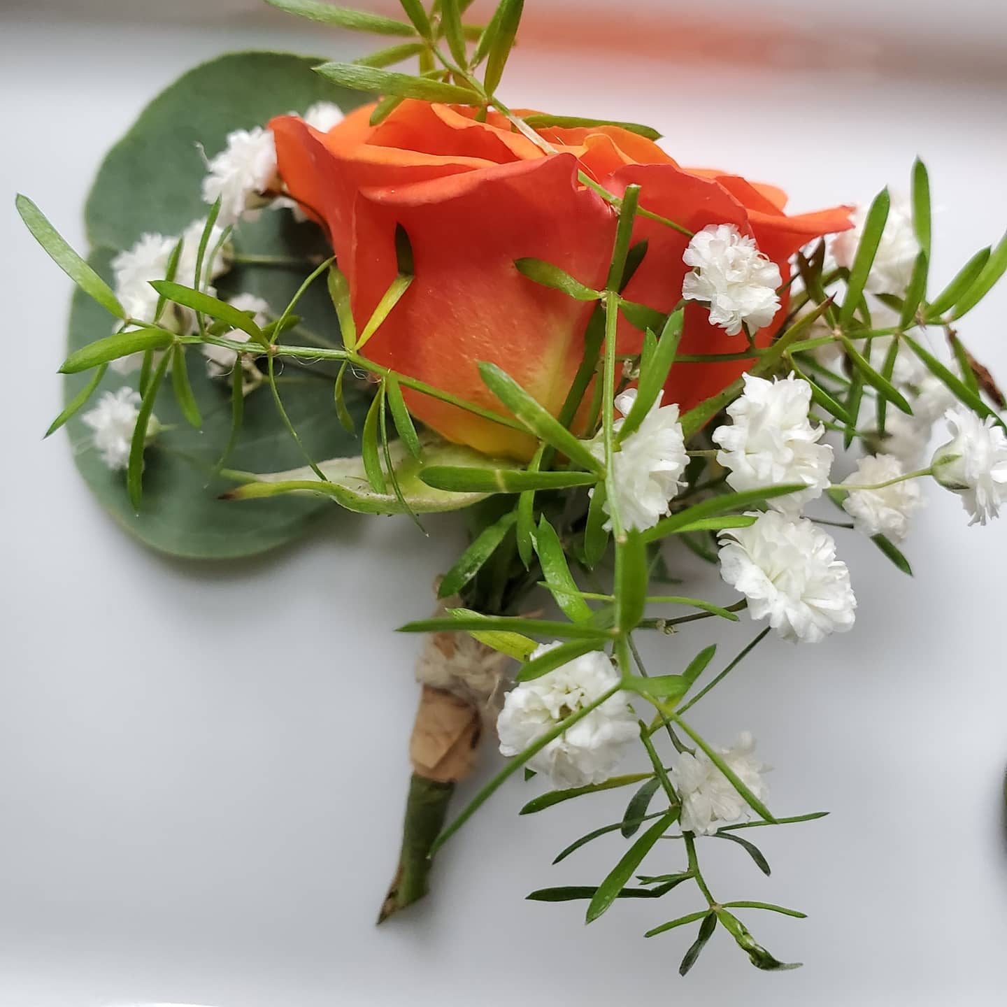 Orange boutonniere with baby's breath and greens.