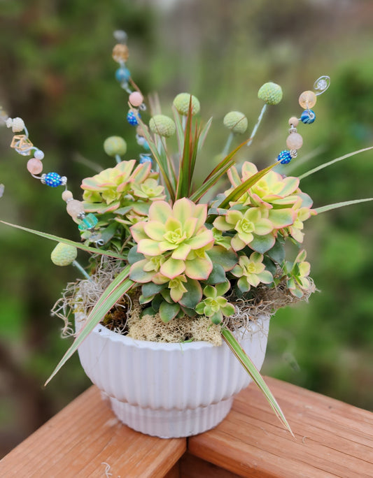 Plants: A living memory